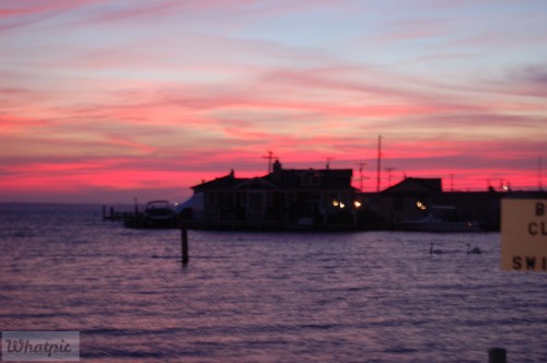 dsc_1493_28204795575_o.jpg