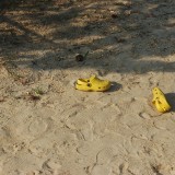 dsc_5107_27637690663_o