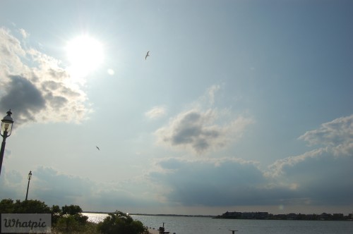 dsc 5121 28253215615 o
