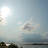 dsc_5121_28253215615_o