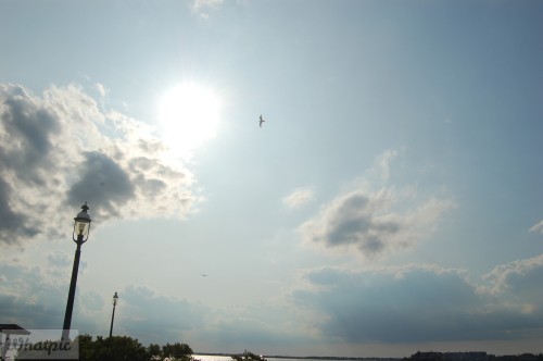 dsc 5122 28253205835 o
