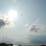 dsc_5122_28253205835_o