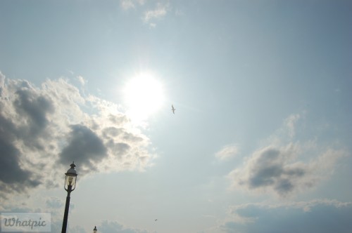 dsc 5123 28175080941 o