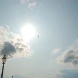 dsc_5123_28175080941_o