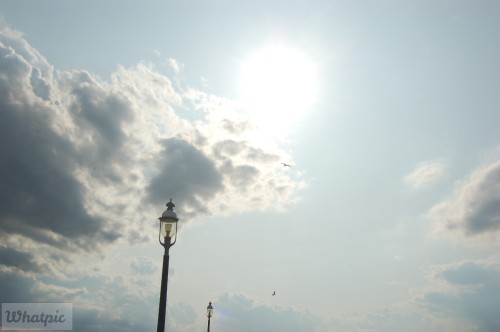 dsc 5125 28253187075 o