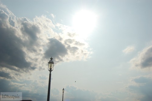 dsc 5126 28149141892 o
