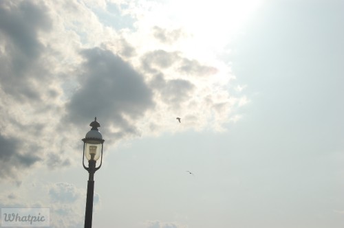 dsc 5128 28253172555 o