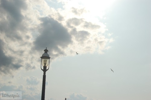 dsc 5129 27637556223 o