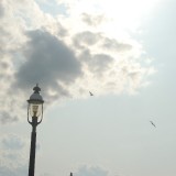 dsc_5129_27637556223_o