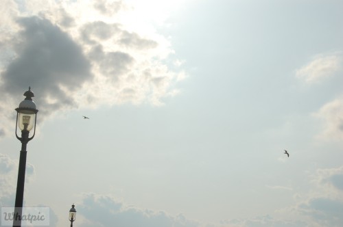 dsc 5130 27637552043 o