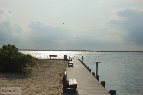 dsc 5138 28149071802 o