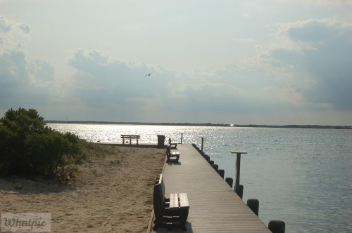 dsc 5139 28149064242 o