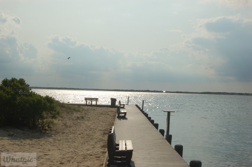 dsc 5141 28149044812 o