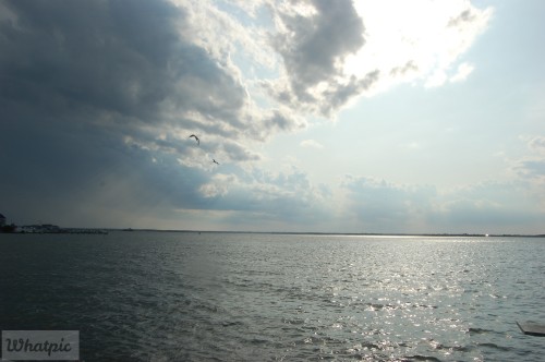 dsc_5206_27637267954_o.jpg