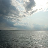 dsc_5207_28174570111_o