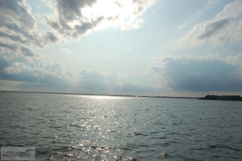 dsc 5224 28252488505 o
