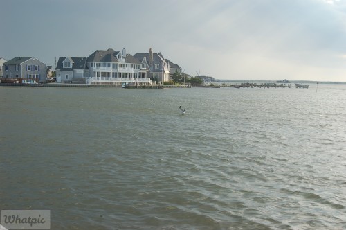 dsc 5229 27971427360 o