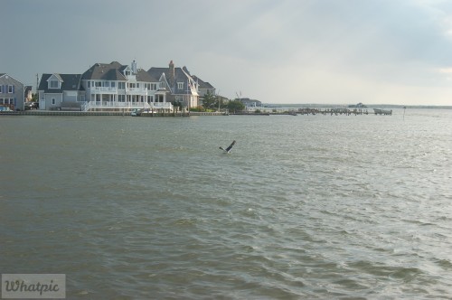 dsc 5231 27636841033 o