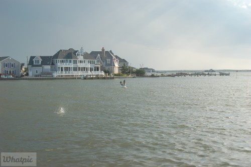 dsc 5233 27637087314 o
