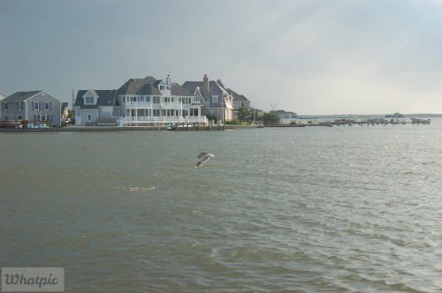 dsc 5234 28218305346 o