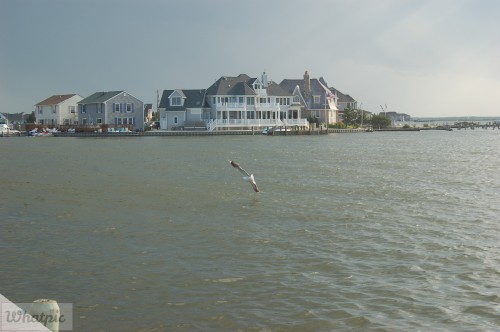 dsc 5235 28218300696 o