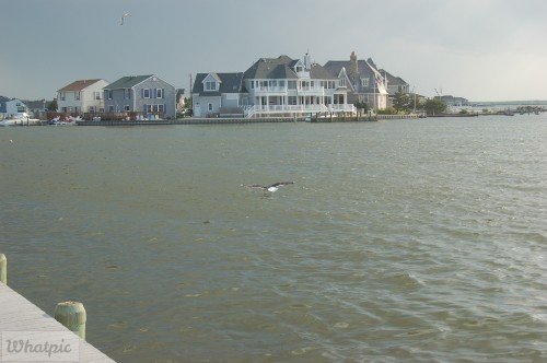 dsc 5236 28218295046 o