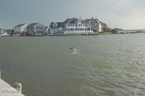 dsc 5239 27971321570 o