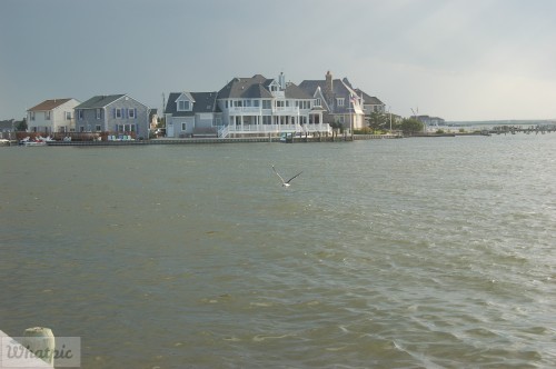 dsc 5240 28218265576 o