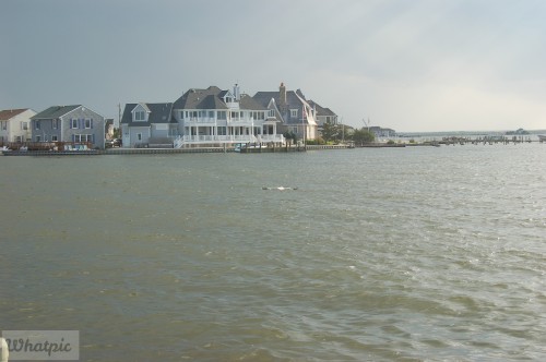 dsc 5241 28218259696 o