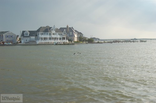 dsc 5242 28148366762 o