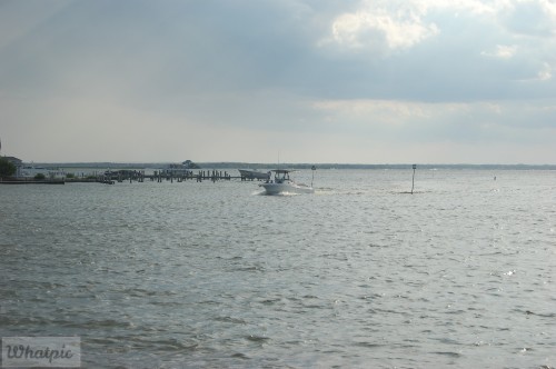 dsc_5245_28252371855_o.jpg