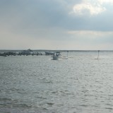 dsc_5245_28252371855_o