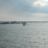 dsc_5246_28174349541_o