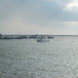 dsc_5250_27636976714_o