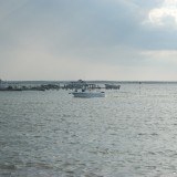 dsc_5251_28218191196_o