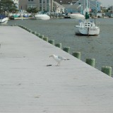 dsc_5329_27635978493_o