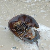 dsc_6605_27633261113_o