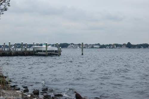 dsc 6610 28144819212 o