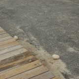 dsc_6657_27632784473_o