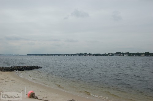dsc_6723_27632651043_o.jpg