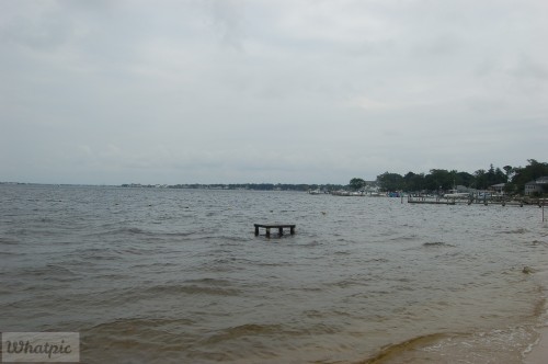 dsc_6766_28171034611_o.jpg
