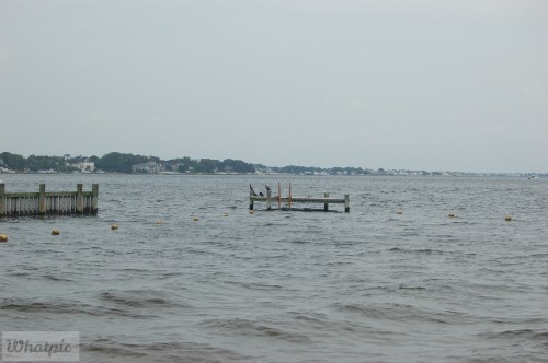 dsc_6768_28171023131_o.jpg