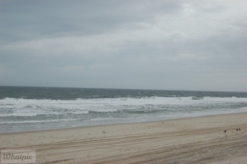 dsc_7567_27637318254_o.jpg