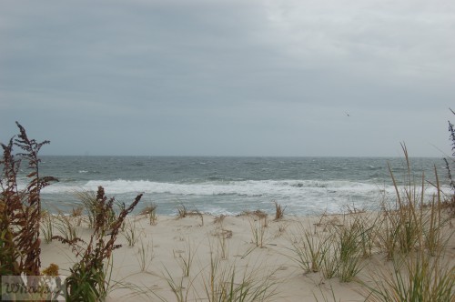 dsc_7612_28174404091_o.jpg