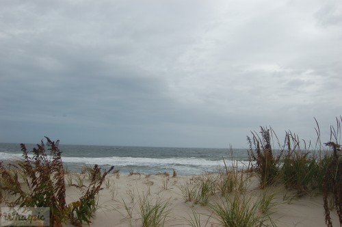 dsc_7615_28148396492_o.jpg