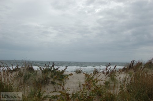 dsc_7621_27971270230_o.jpg