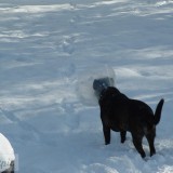 dscf0004_14692357541_o