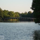 dscf0013_27916516360_o