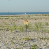 dscf0068_28120024121_o