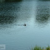 dscf0122_27582167744_o